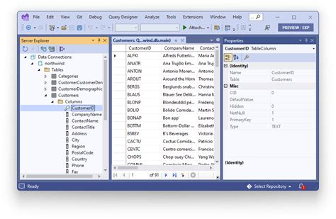 How To See Sqlite Database In Visual Studio Templates Sample