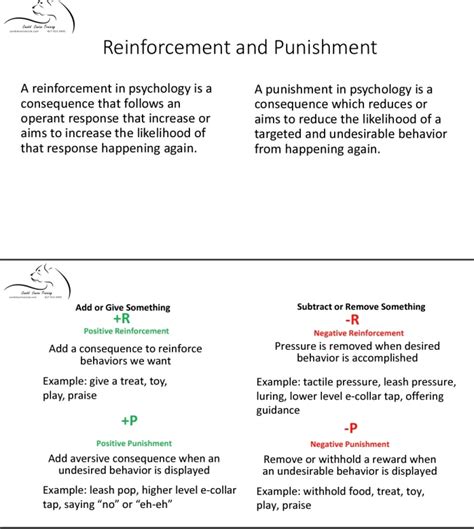 The Canine Learning Theory – Candid Canine Training