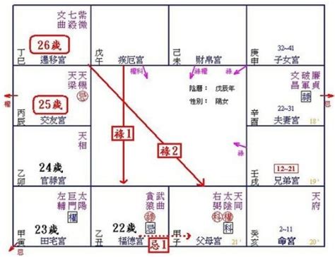 戊年命宫在亥宫紫微星在巳宫 以写作或演讲名满天下《紫微命例》 今日推荐