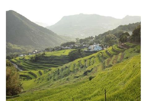 高松から“小豆島”へ。フォトジェニックスポットを巡る女子旅｜旅行プランは旅色で。