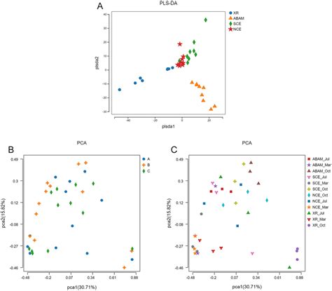 outline diagram  abr structure  scientific diagram