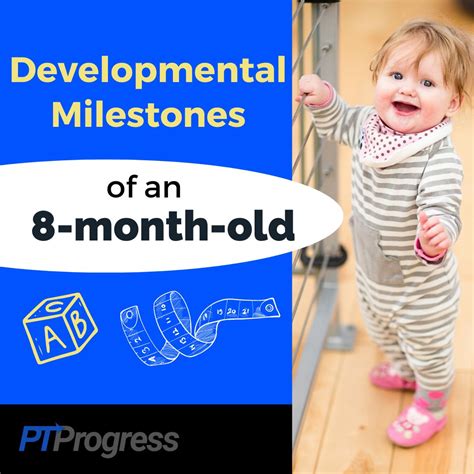 Developmental Milestones Of An 8 Month Old