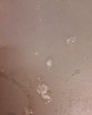 PUBLIC CUM SHOT GIFS Sex Gifs Porn XXX GIFs PICTOA