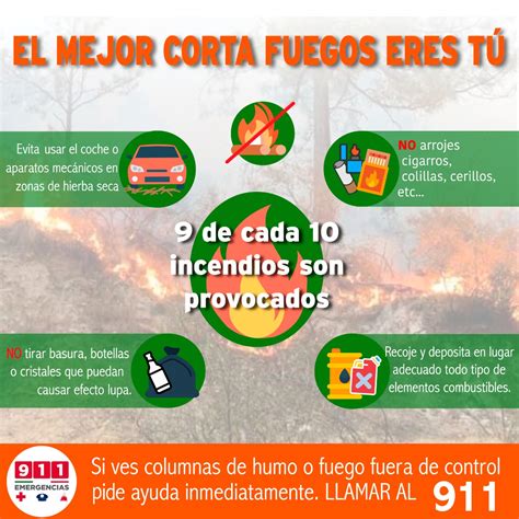 Llama Protección Civil A Prevenir Incendios Forestales Infonor