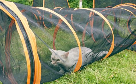 6 In 1 Tent Cat Enclosures With Tunnel For Indoor And