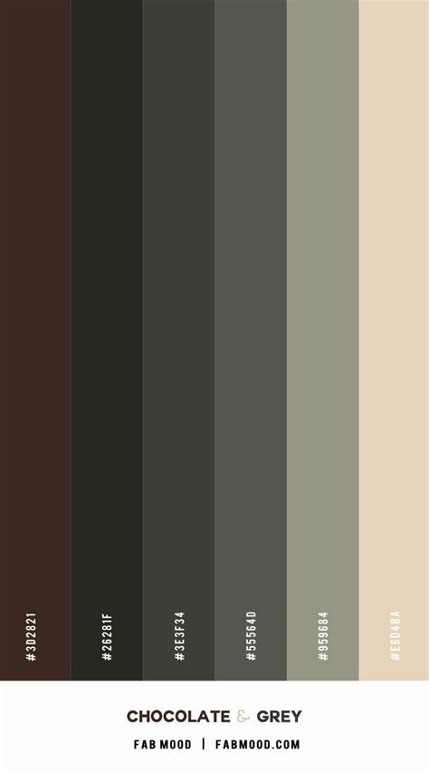 Chocolate Brown and Grey Color Palette for a Cozy Bedroom