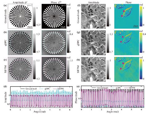 Figure 6 From Single Shot Fourier Ptychographic Microscopy With