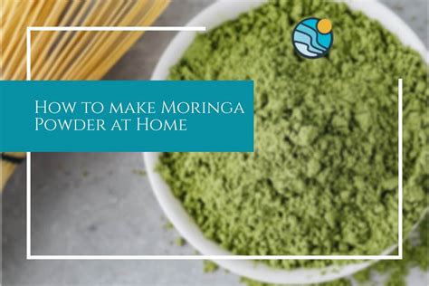 How To Make Moringa Powder At Home Westonbirt Arboretum