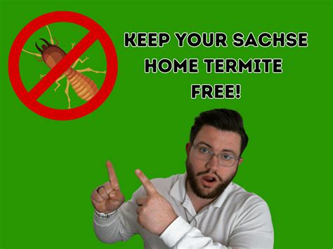 Signs Of A Termite Infestation Protect Your Sachse Tx Home From Termites Preferred Pest