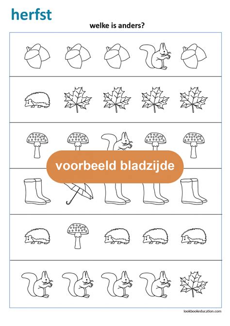 Werkblad Zoek Dezelfde Kerst LookbookEducation Nl