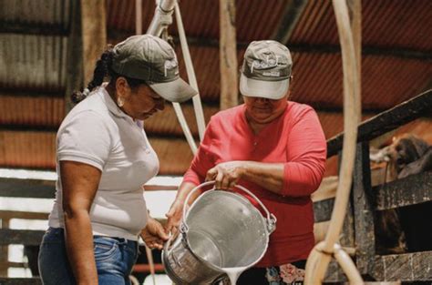 Luchar Contra El Hambre Y La Desigualdad Pondr Am Rica Latina A La