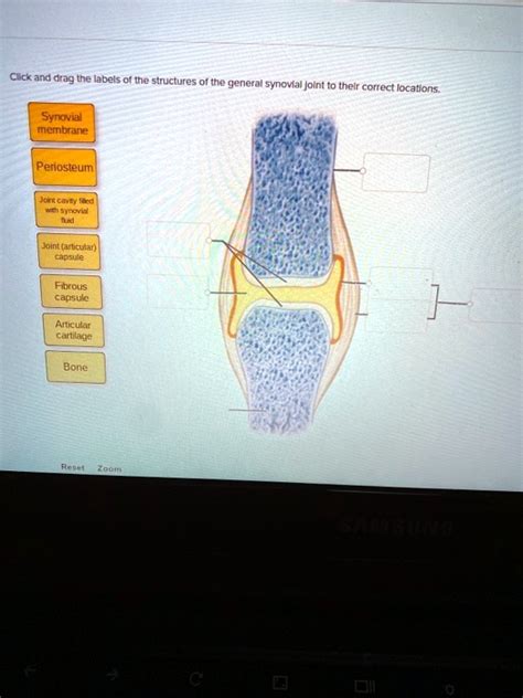 Solved Click And Drag The Labels Of The Structures Of The General