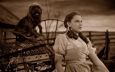 How The Wizard of Oz still shapes the world’s view of Kansas | KCUR ...