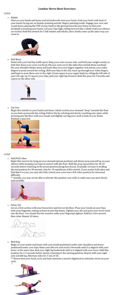 lumbar nerve root exercises chiropractor  carthage tn carthage