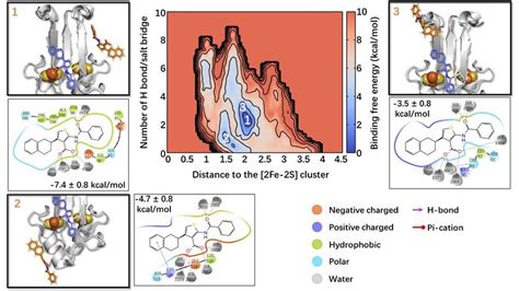 The Free Energy Landscape Associated With Ligand Binding To Naf I