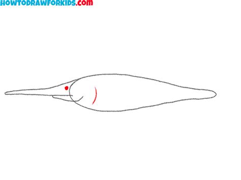 How to Draw a Swordfish - Easy Drawing Tutorial For Kids