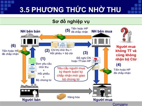 Quy trình nhờ thu kèm chứng từ D A và D P trong xuất nhập khẩu Trung