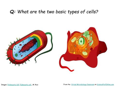 Ppt About Science Prof Online Powerpoint Resources Powerpoint Presentation Id4996744