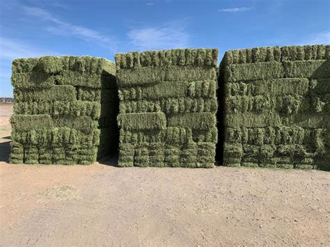 Hay for Sale: 3rd Cutting 3-tie Alfalfa - Plants & Seedlings