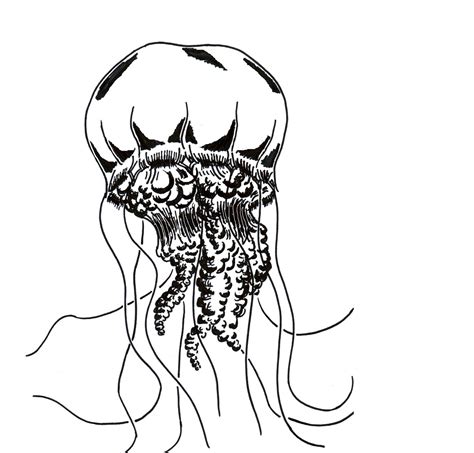 Jellyfish Tattoo Designs - Cliparts.co