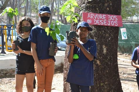 Semam lança projeto Árvore dos Desejos Edcícero