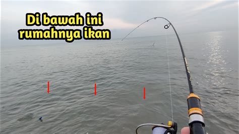 Spot Potensial Mancing Ikan Kerapu Youtube