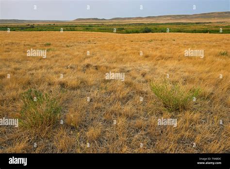 Native Mixed Grass Prairie Hi Res Stock Photography And Images Alamy