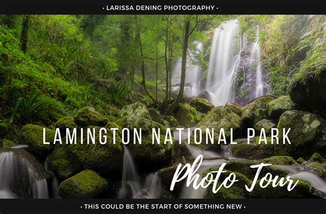 Lamington National Park Waterfall Workshop - Larissa Dening Photography