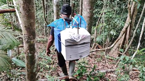 Camping Dan Mikat Burung Dalam Hutan Tengah Malam Di Bangunin Harimau