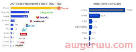 2022年东南亚电商新机遇，你了解多少？跨境电商石南跨境物流导航