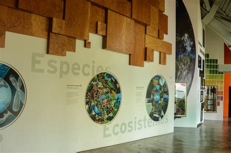 Biomuseo and Smithsonian in Panama City: Celebrating Biodiversity - Joy ...