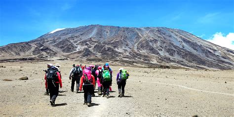 Mount Kilimanjaro Trek Machame Route Adventure Makers