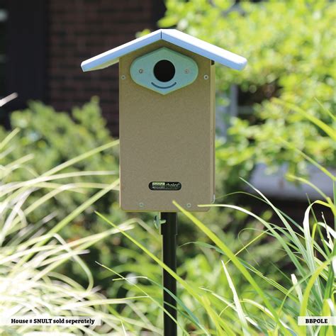 bird house pole 3