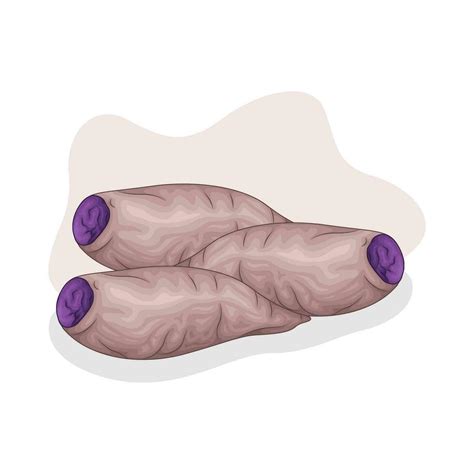 Taro Purple Sweet Potato Illustration Vector Art At Vecteezy