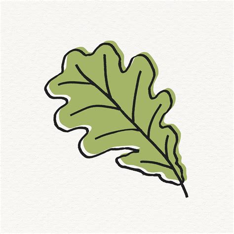 Oak Tree Leaf Clipart Line Free Photo Illustration Rawpixel