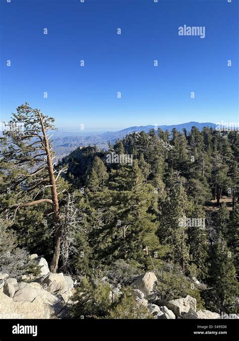 San Jacinto mountains in California Stock Photo - Alamy