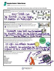 Understanding DNA Chromosomes Genes And Traits An Intro To Course