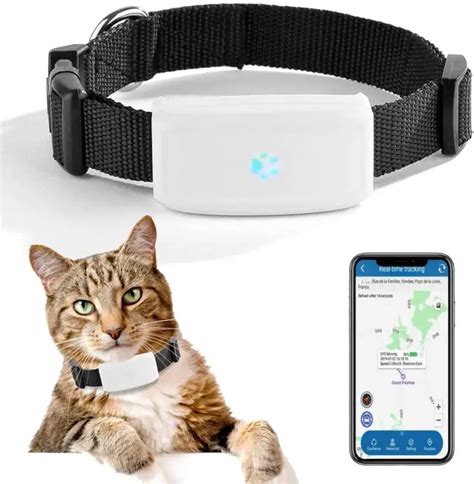 GPS Halsband für Katzen Diese 4 sind klein leicht und wenig störend