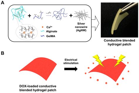 Polymers Free Full Text Electro Responsive Conductive Blended