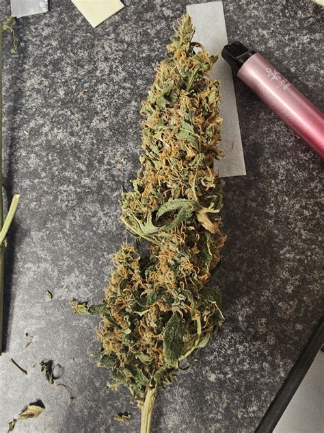 The incredible bulk (homegrow) : r/weed