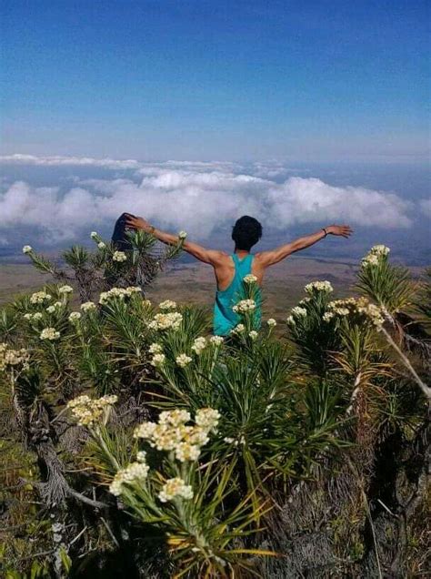 Destinasi Wisata Di Bawah Kaki Gunung Tambora Yang Merindu