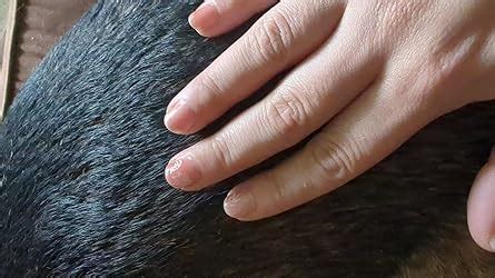 Amazon Beetles Jelly Gel Nail Polish Set 8 Colors Nude Sheer Pink