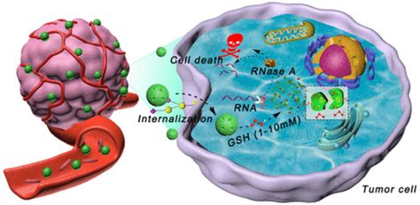 Redox Responsive Molecularly Imprinted Nanoparticles For Targeted