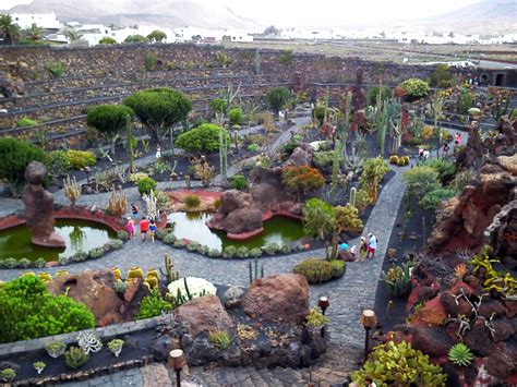 Un Mundo Por Descubrir Jard N De Cactus Lanzarote