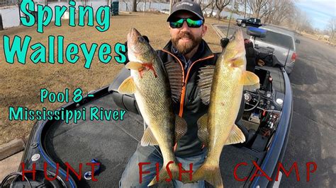 Big Spring Walleyes On The Mississippi River Bass Manager The Best