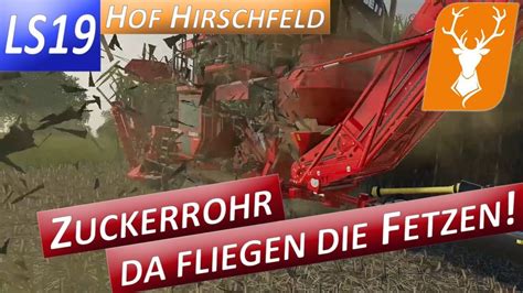 Ls Hof Hirschfeld Wie Man Zuckerrohr Erntet Und Spa Dabei Hat