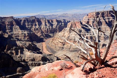 Grand Canyon West Rim Bus Tours with Skywalk Tickets | Gray Line