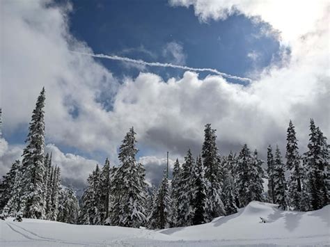 Free picture: snowy, black and white, cottage, landscape, rural ...