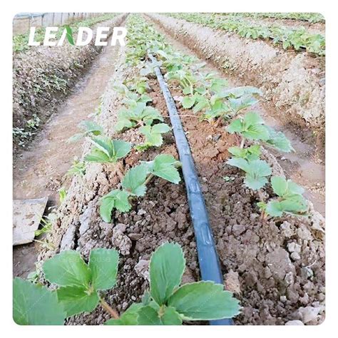 Agricultural Irrigation System Drip Irrigation Tape For Greenhouse