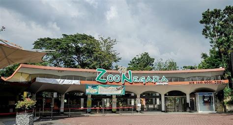 Zoo Negara recognised as among best caretakers of giant pandas in the world